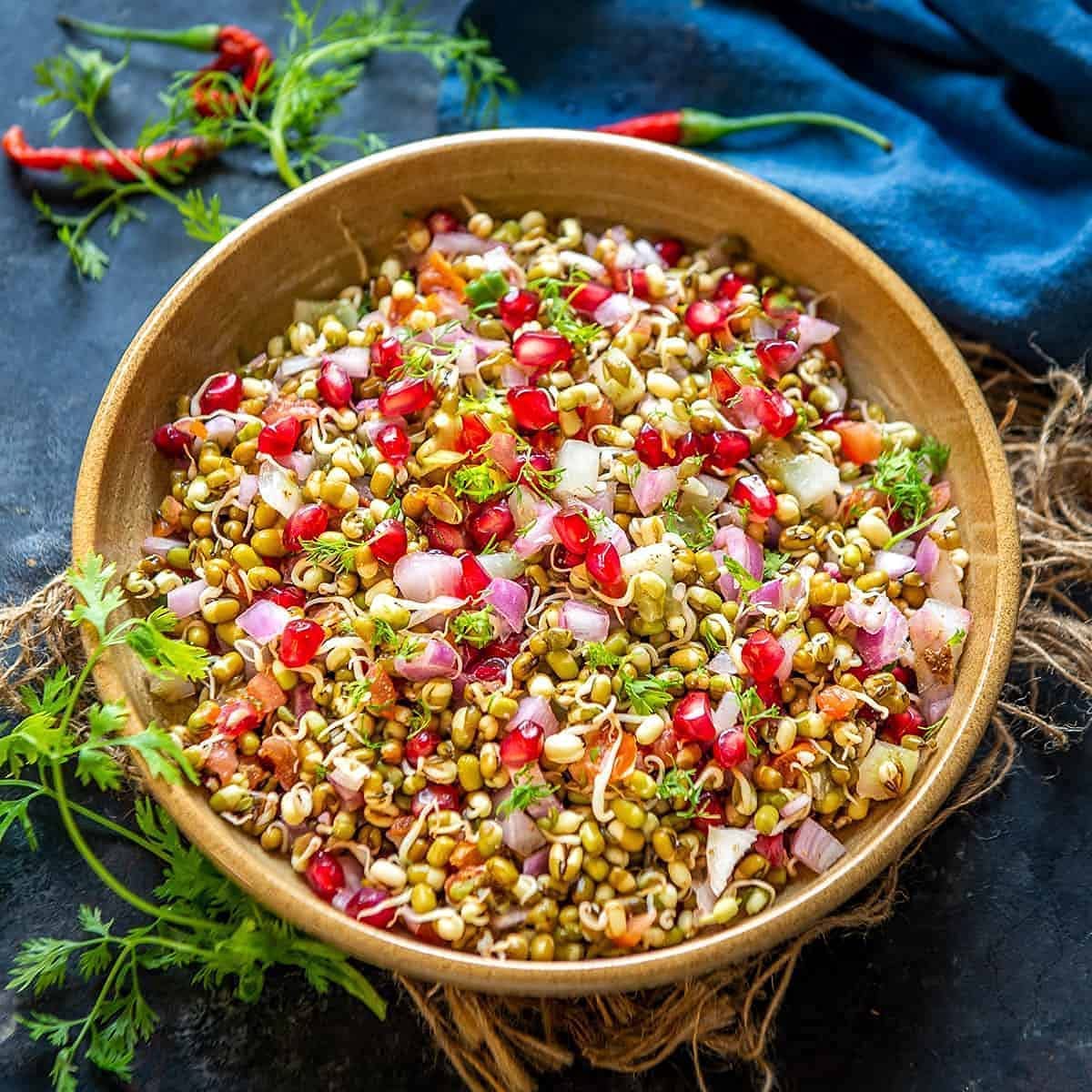 Rylan Sprout Maker With 4 Compartments For Multi Purpose Use - Plastic Grocery Container Sprouted Grains Seeds Dal Channa Chole
